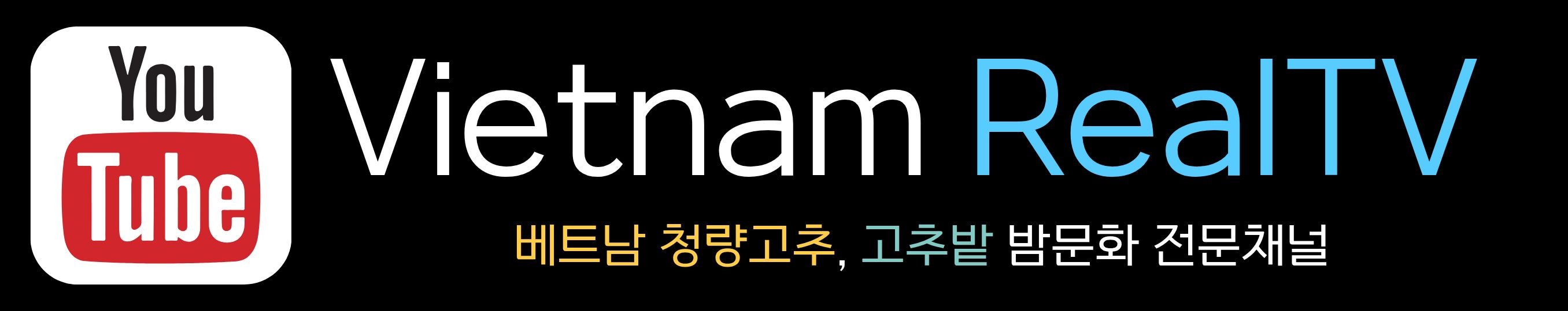 베트남 리얼티비