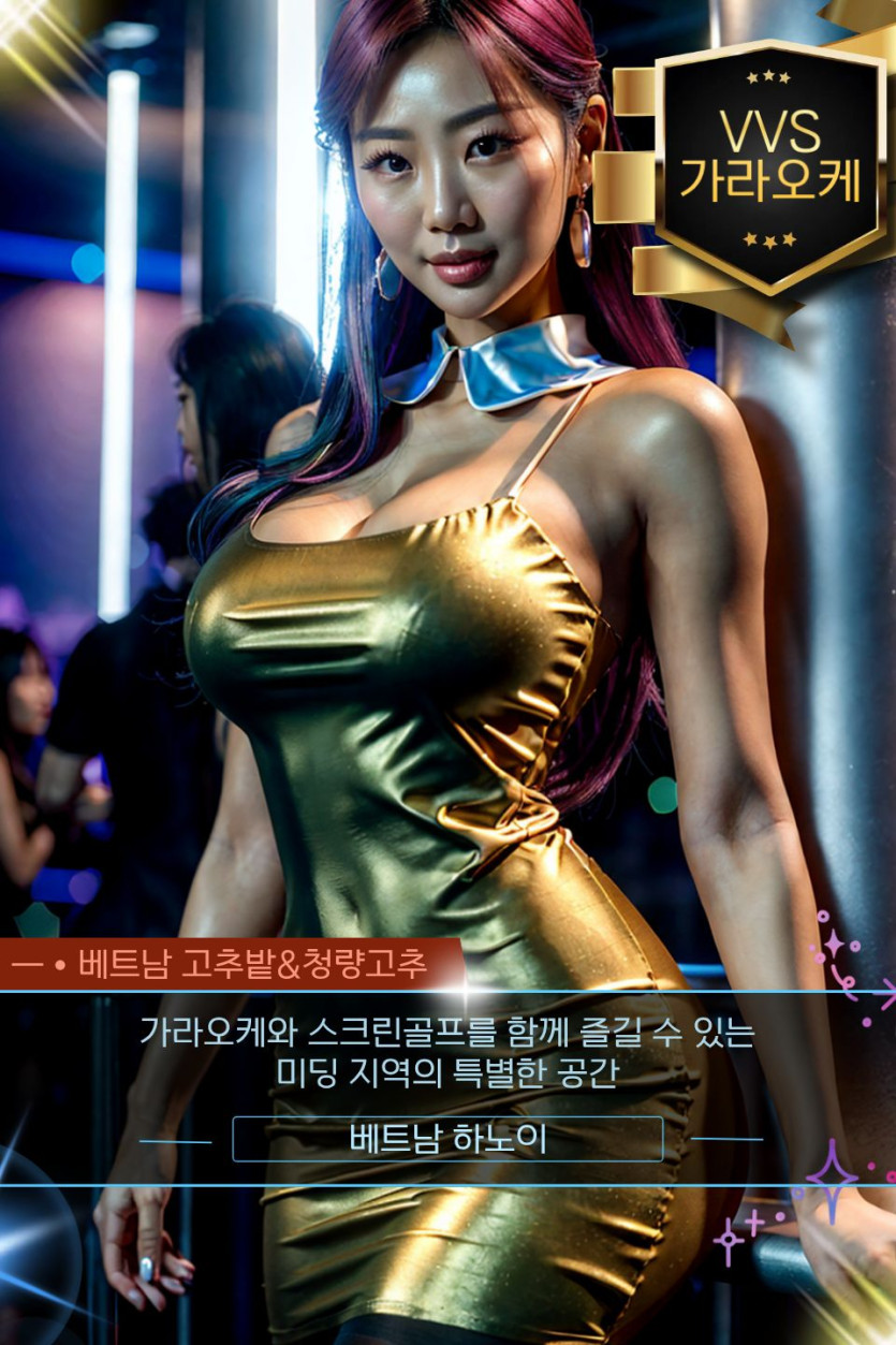 하노이 VVS 가라오케 주의사항