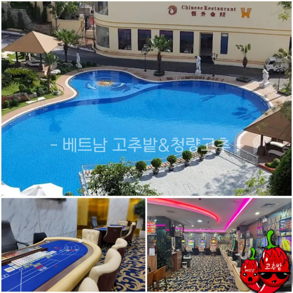 하노이 박닌 피닉스 카지노 후기 모음