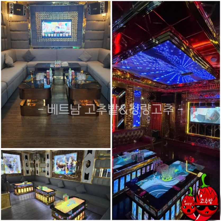 하노이 비타민 가라오케 지점 안내