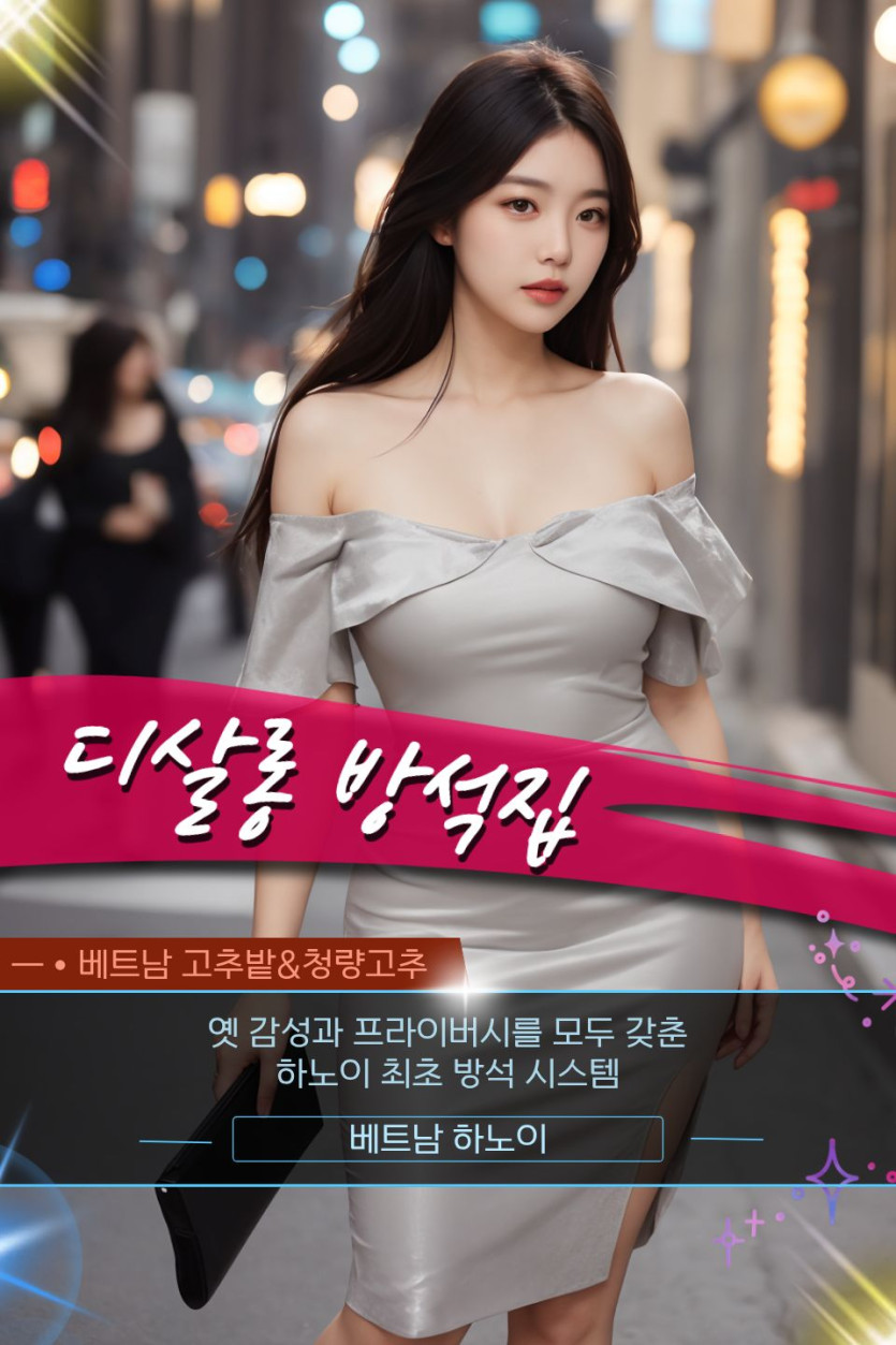 하노이 디살롱 방석집 프로모션 정보